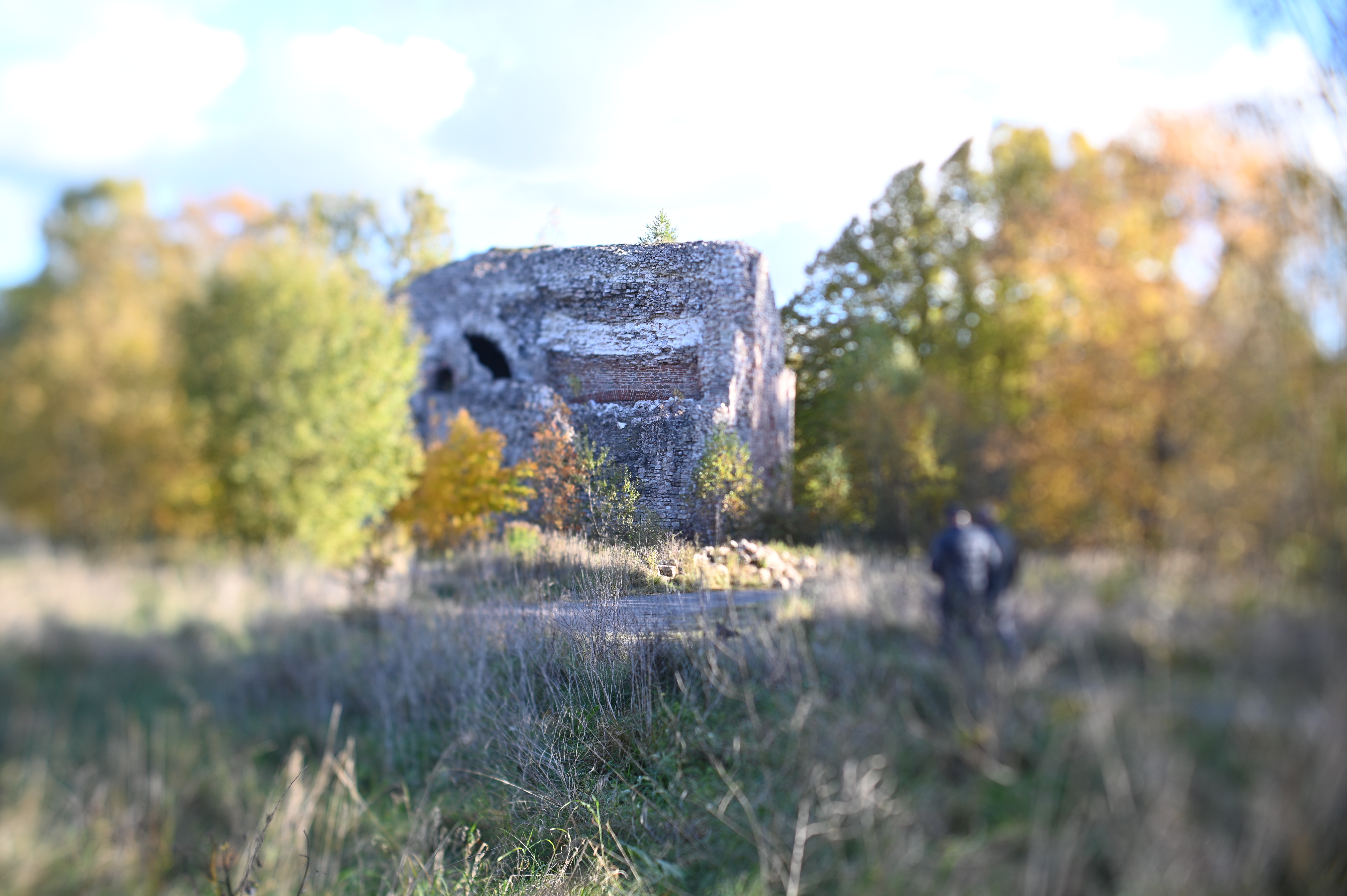 2025/10/18 - walk/DSC_0061.JPG